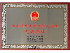 海利常德公司榮獲“湖南省抗擊新冠肺炎疫情先進集體”、彭長春獲“先進個人”